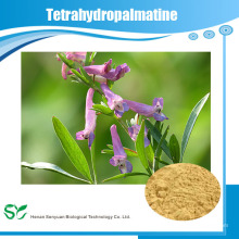 GMP suministro de fábrica Tetrahidropalmatina Corydalis Yanhusuo Extracto